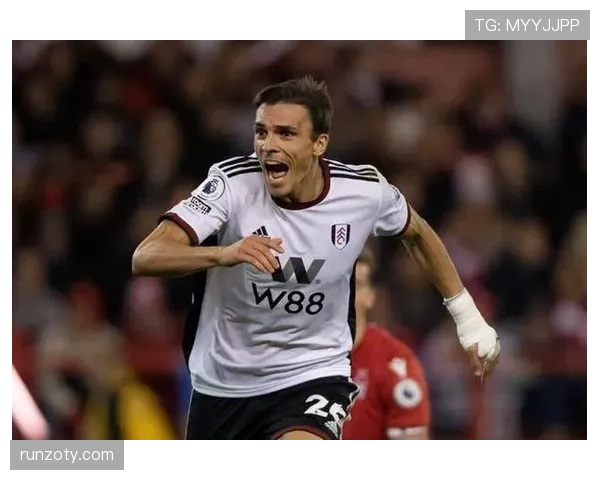 帕利尼亚与罗德里：防守屏障与控场枢纽的战术角色差异解析